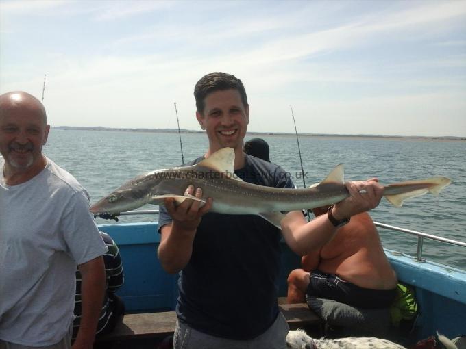 7 lb Smooth-hound (Common) by 4 hour trip