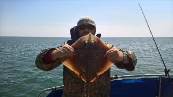 5 lb Thornback Ray by Stephen Wake