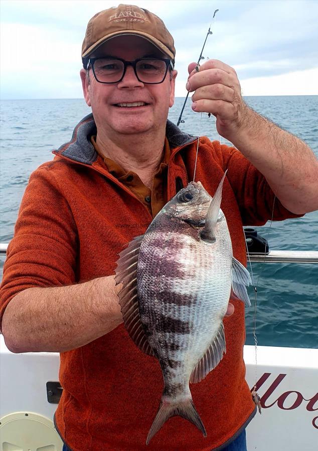 2 lb 8 oz Black Sea Bream by Unknown