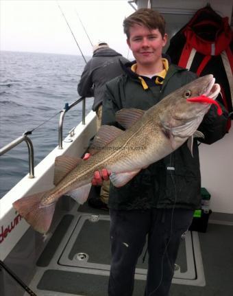 16 lb Cod by Unknown