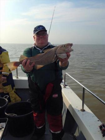 6 lb Cod by Unknown