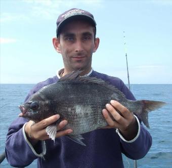 5 lb Black Sea Bream by James Mccarthy