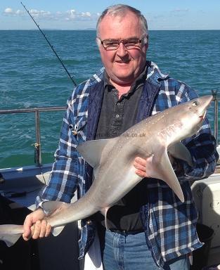 14 lb Smooth-hound (Common) by Clive Wall