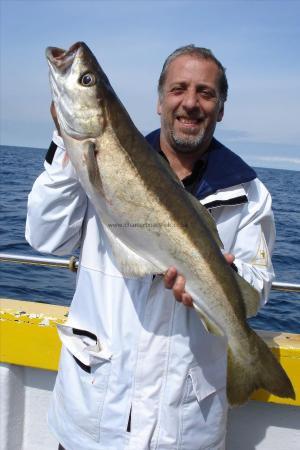 15 lb 8 oz Pollock by Tony