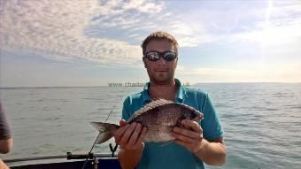 3 lb Black Sea Bream by Stephen Wake