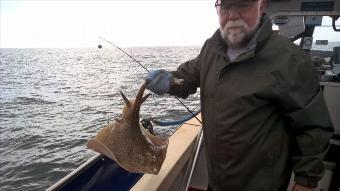 6 lb Spotted Ray by Stephen Wake