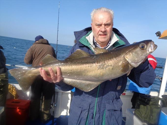 9 lb 8 oz Pollock by Geoff