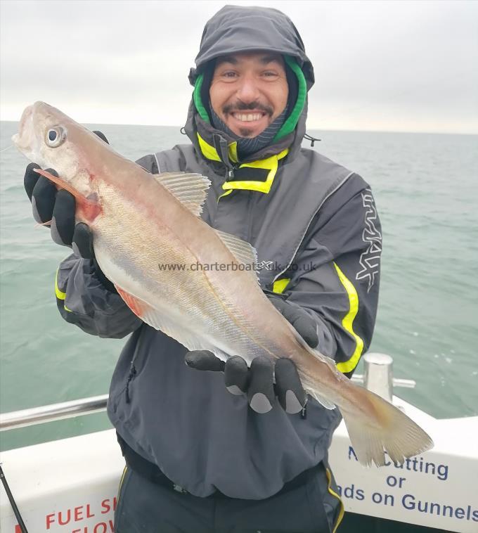 4 lb Whiting by Dean
