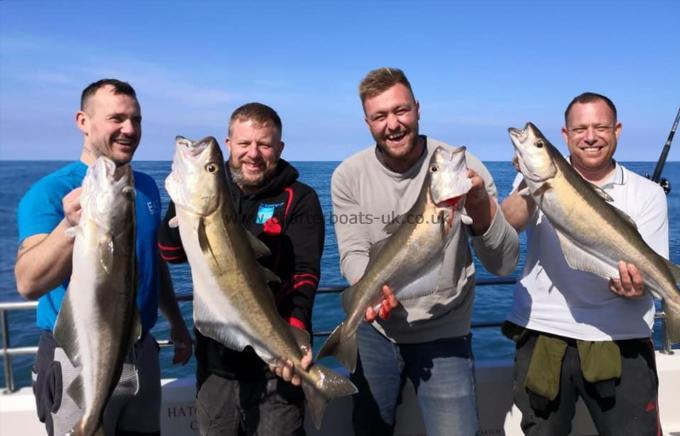 10 lb Pollock by The Isle of Wight ...."Motley Crew"..