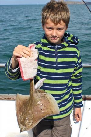 2 lb Spotted Ray by Edward