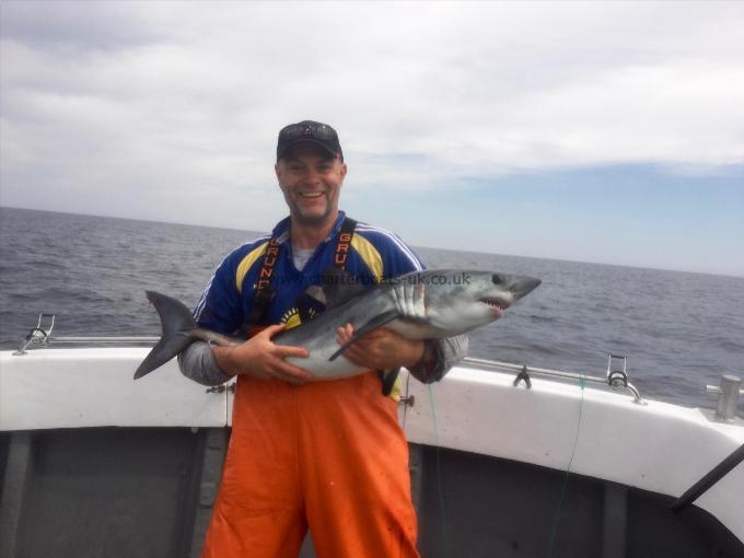 35 lb Porbeagle by Unknown