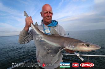 11 lb Starry Smooth-hound by Keith