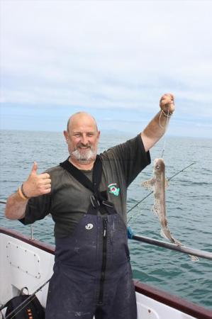 2 lb Lesser Spotted Dogfish by Steve H