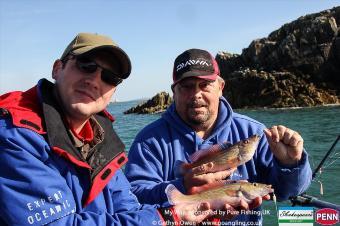 1 lb Cuckoo Wrasse by Pair of Cuckoo Nai and Brooksy