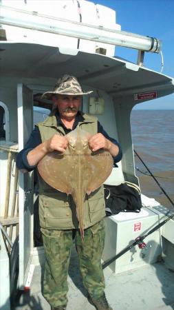 7 lb Small-Eyed Ray by bushy