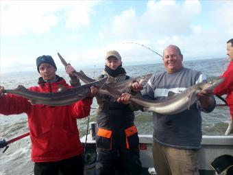 12 lb 7 oz Spurdog by mark 60+ spur dogs caught that day