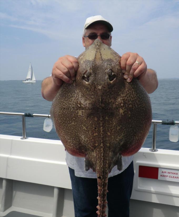 9 lb 2 oz Thornback Ray by unknown