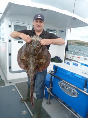 16 lb Undulate Ray by Unknown