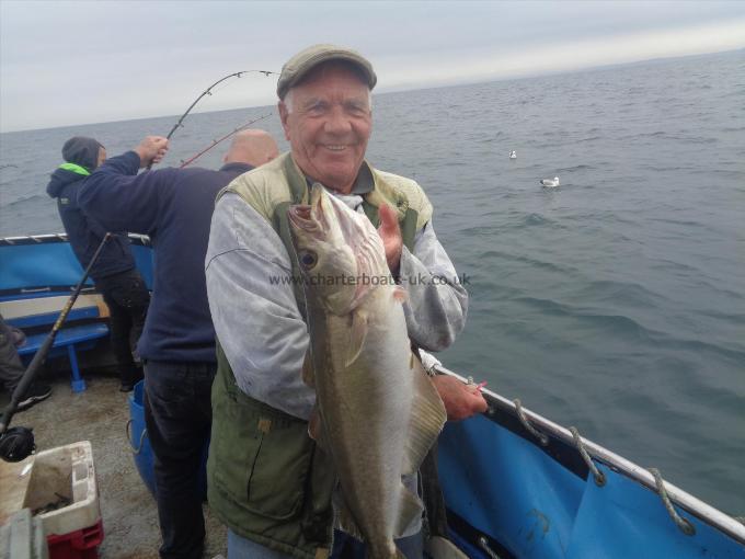 10 lb Pollock by one of many caught by jeff