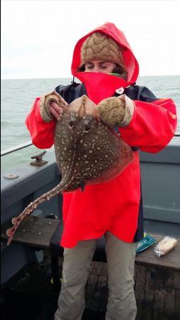 5 lb Thornback Ray by Misse