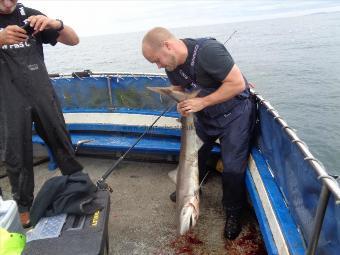 45 lb Tope by Unknown