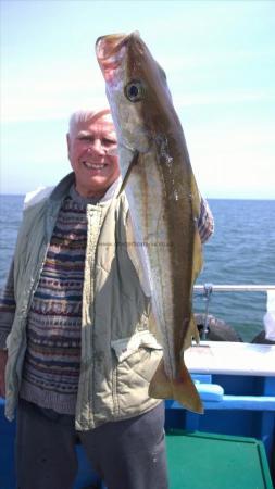 8 lb 1 oz Pollock by trevor from withernsea