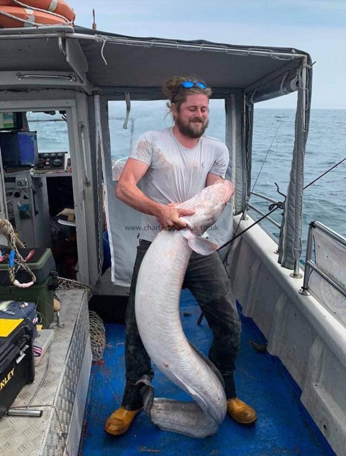 84 lb Conger Eel by Unknown