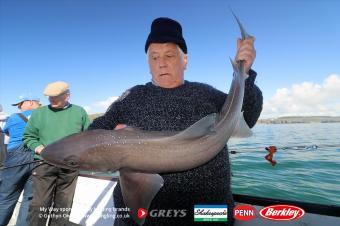 14 lb Starry Smooth-hound by Harm