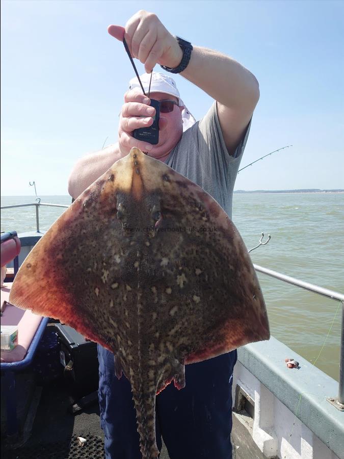 16 lb Thornback Ray by Nigel