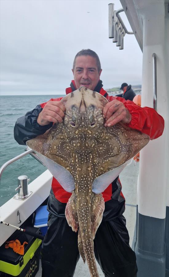 8 lb Undulate Ray by Ben