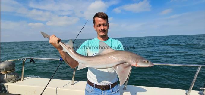 10 lb 1 oz Smooth-hound (Common) by Lucian