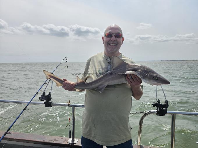 9 lb Smooth-hound by Steve