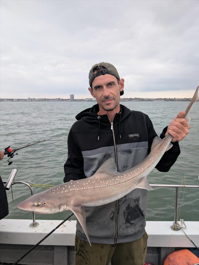 12 lb Smooth-hound by Lewis