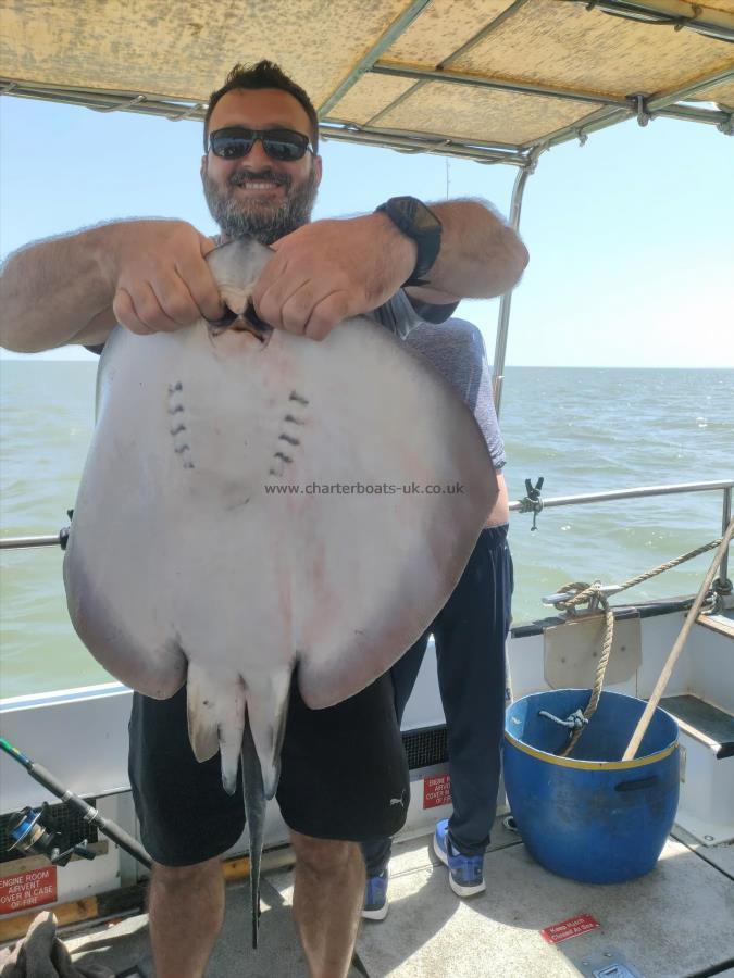 22 lb Stingray (Common) by Unknown