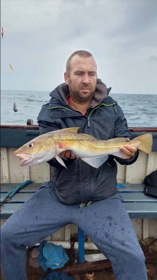 5 lb 2 oz Cod by Unknown