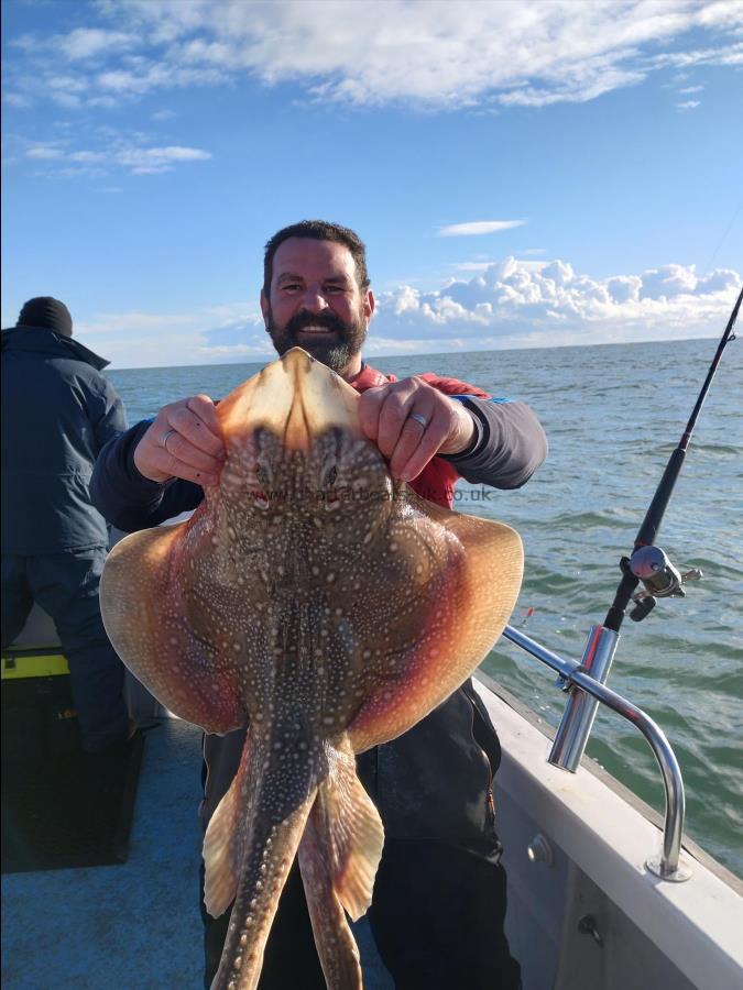 13 lb Undulate Ray by Lee