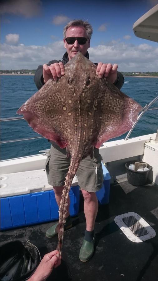 12 lb 8 oz Thornback Ray by Bob Marshall