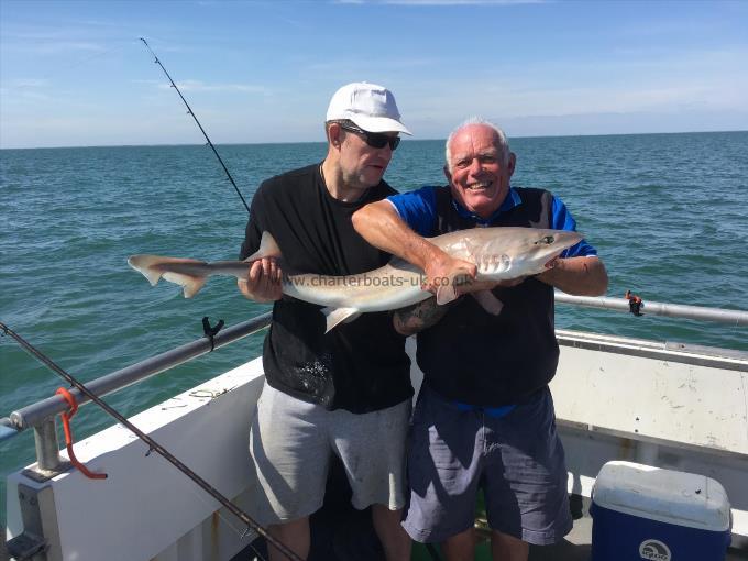 19 lb Smooth-hound (Common) by Unknown