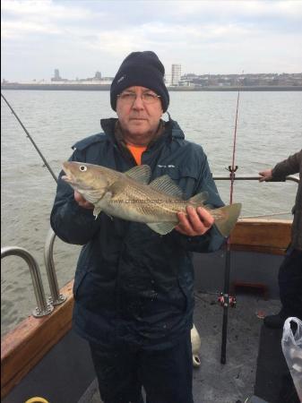 3 lb 8 oz Cod by Dave