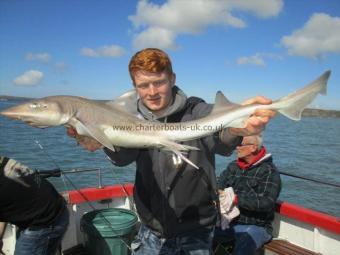 6 lb Starry Smooth-hound by Dan