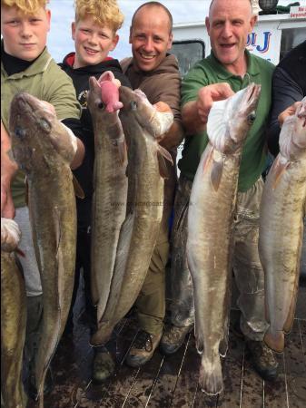 16 lb Ling by a good day wrecking , lings, 31/8/2017