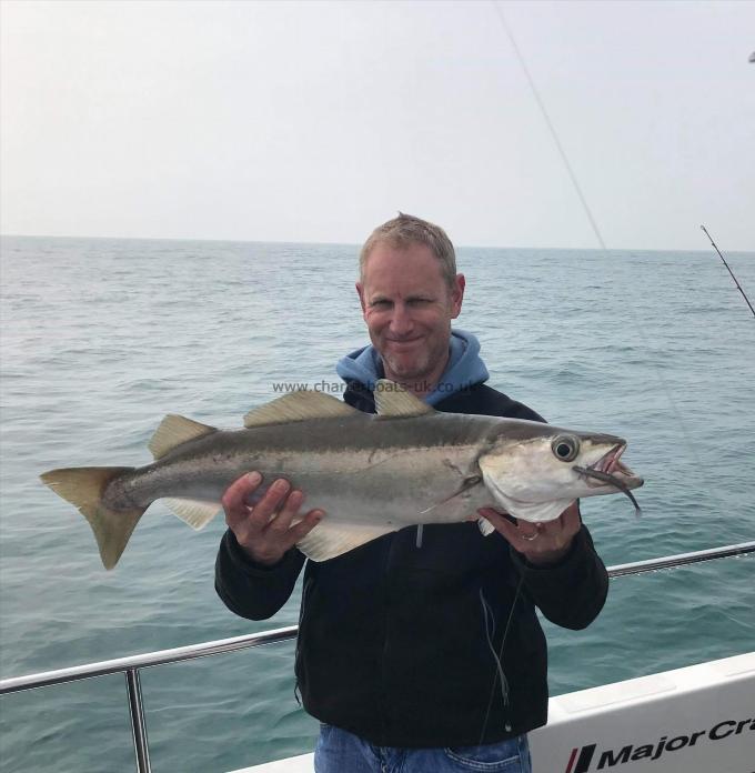 8 lb 8 oz Pollock by Matt (Skipper)