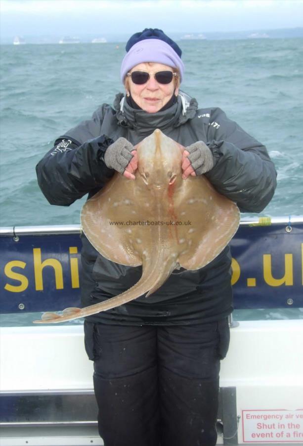 7 lb Small-Eyed Ray by Denise Youngs