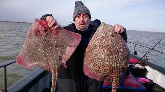 11 lb 5 oz Thornback Ray by Pete from Kent