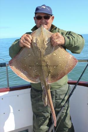 14 lb Blonde Ray by Billy