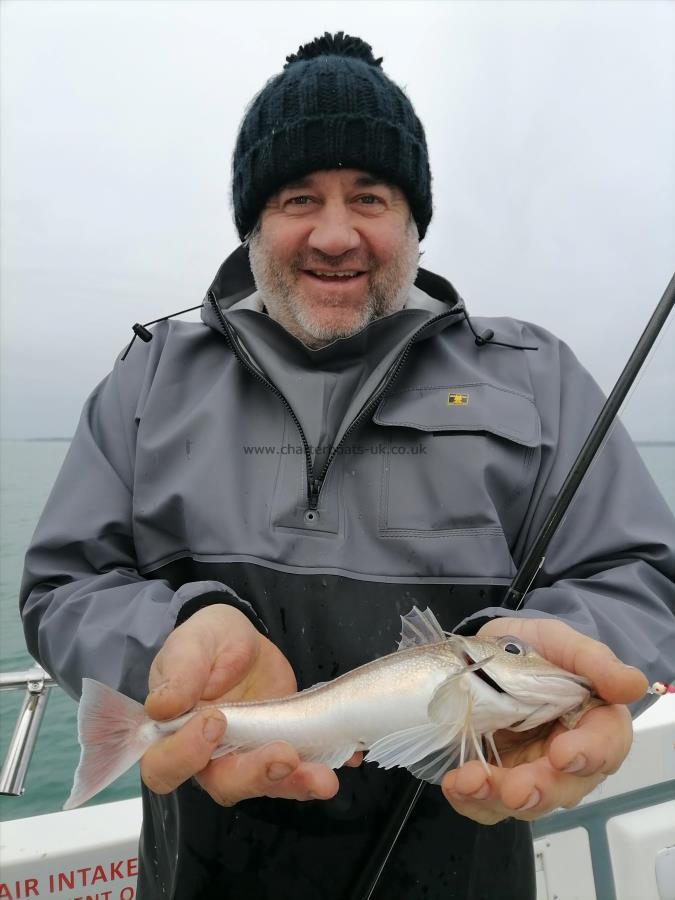 1 lb Grey Gurnard by Darren