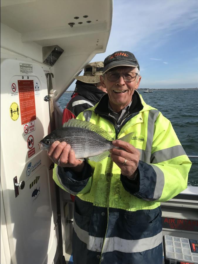 1 lb 8 oz Black Sea Bream by Ian with his 1st bream this year