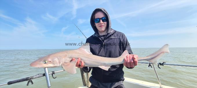 9 lb 7 oz Starry Smooth-hound by Jack