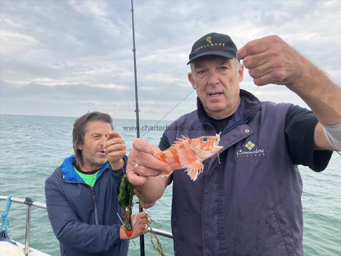 2 oz Barracuda by bluemouth rockfish