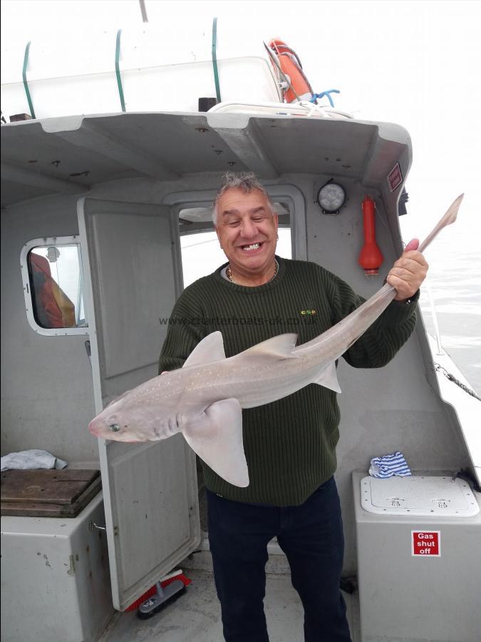 13 lb Smooth-hound (Common) by Andre